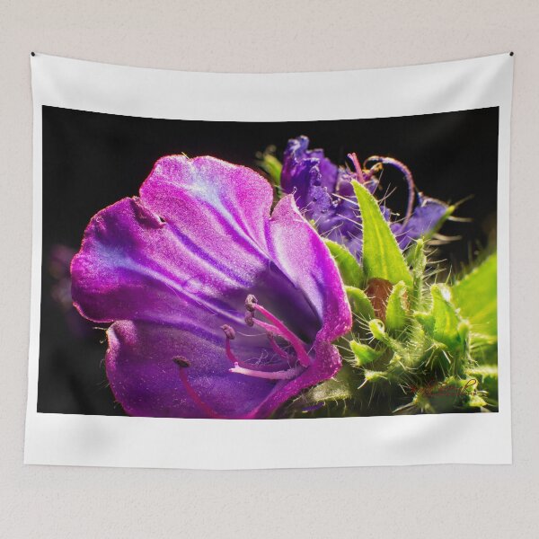 Item preview, The Magic of Small (1) designed and sold by Wolf Sverak Photography.