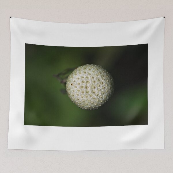 Item preview, The Empty Nest designed and sold by KGibbs.