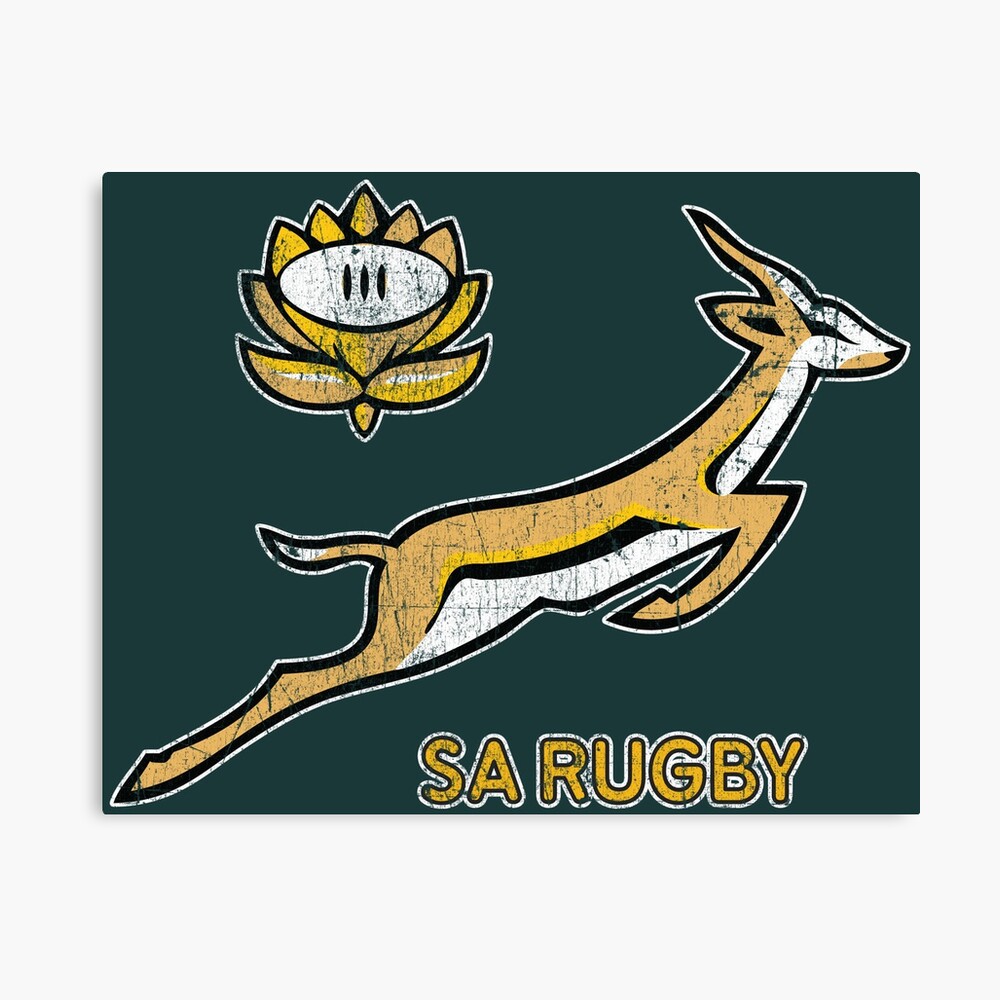 Sa Rugby Vintage Springbok Logo Photographic Print By Za Ffer Redbubble