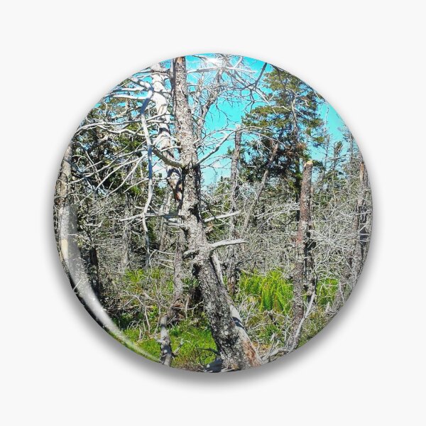 Item preview, Off the Beaten Path - Dead Forest designed and sold by Totallyalive.