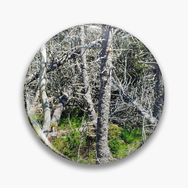 Item preview, Off the Beaten Path - Dead Forest designed and sold by Totallyalive.