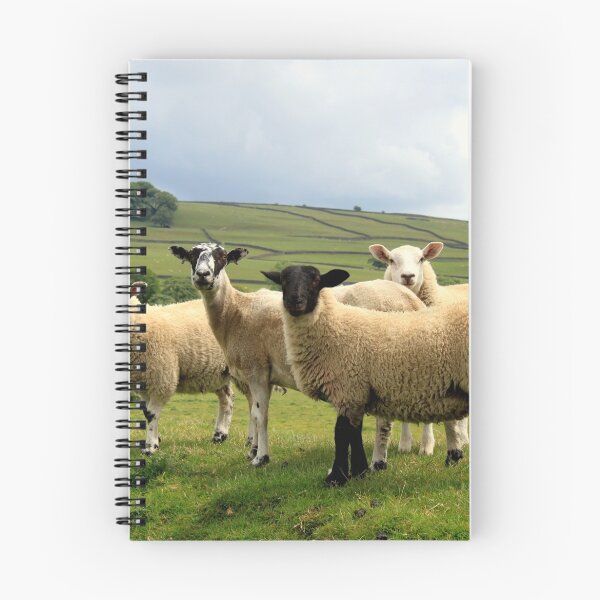 Item preview, Posers designed and sold by Lancastrian.