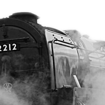 Artwork thumbnail, Steamer 92212 by designbywhacky