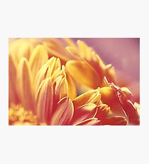 Gently Burning Photographic Print