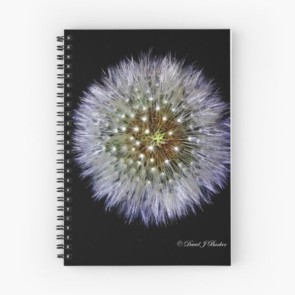 Item preview, Dandelion clock designed and sold by Lancastrian.