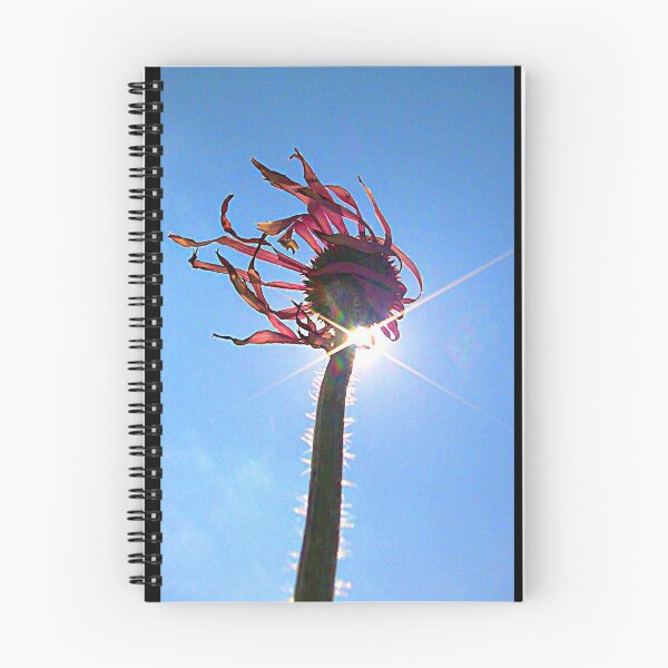Item preview, Spent designed and sold by Jeffrey Kimsey-Carroll.