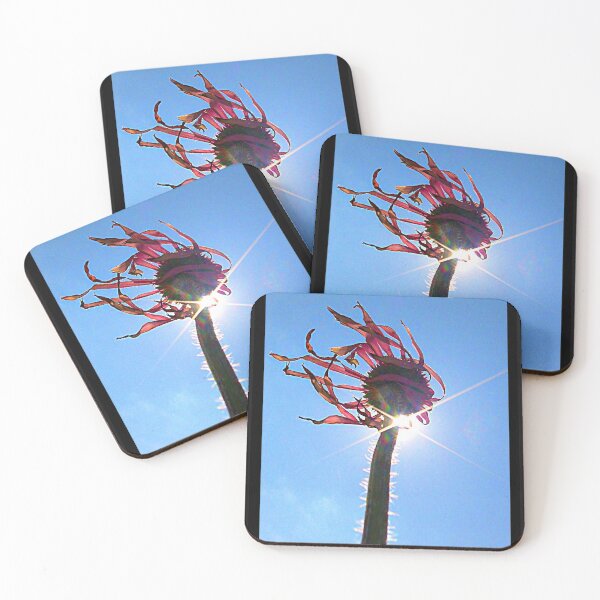 Item preview, Spent designed and sold by Jeffrey Kimsey-Carroll.