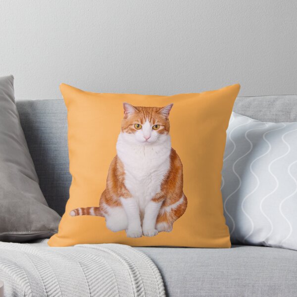 Item preview, Photo of a cute orange and white tabby cat sitting photoshopped cut out. Fun gift ideas or great treat your self reward available on stickers, t-shirts coffee mugs and more. designed and sold by g2rdsmith.
