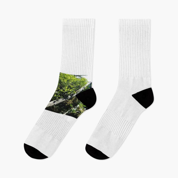 Item preview, Off the Beaten Path - Forest designed and sold by Totallyalive.
