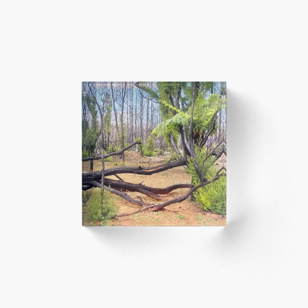 The bush shall return Acrylic Block