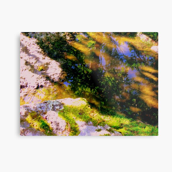 In a mirror Metal Print