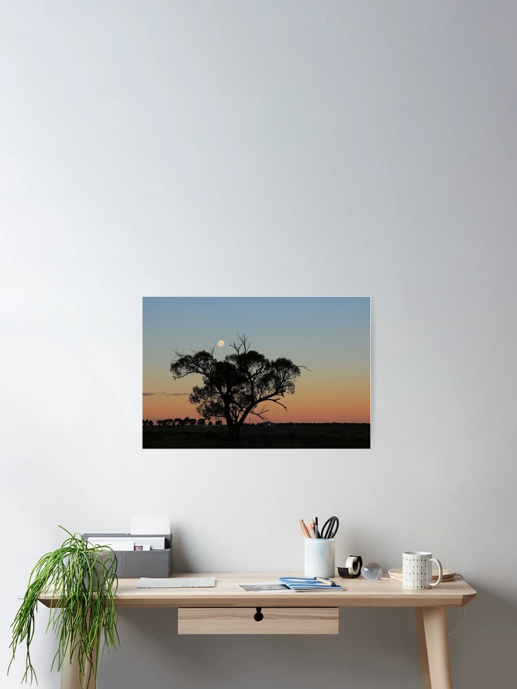 Thumbnail 2 of 3, Poster, LoneTree designed and sold by Mark Cooper Photography.