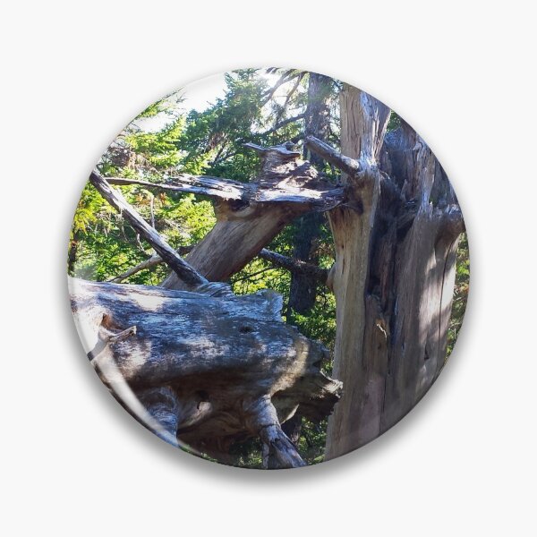 Item preview, Fallen Tree in the Forest designed and sold by Totallyalive.
