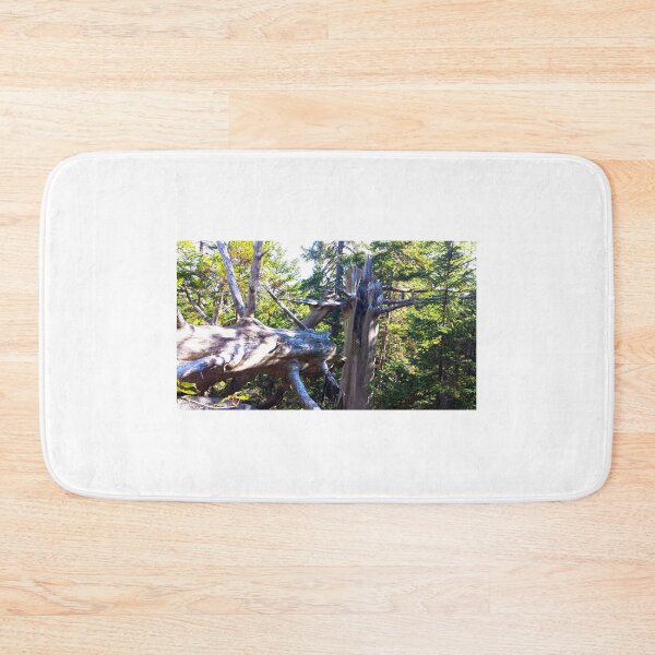 Item preview, Fallen Tree in the Forest designed and sold by Totallyalive.