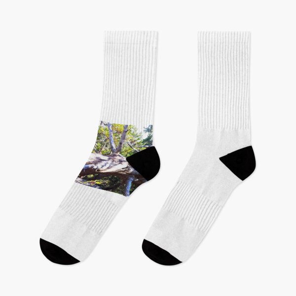 Item preview, Fallen Tree in the Forest designed and sold by Totallyalive.