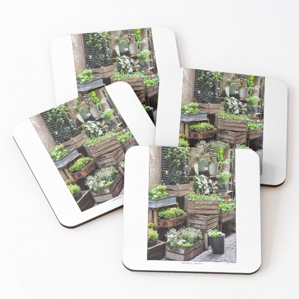 Item preview, Flowers on display in a narrow alley, Stockholm, Sweden designed and sold by AndreasPrott.