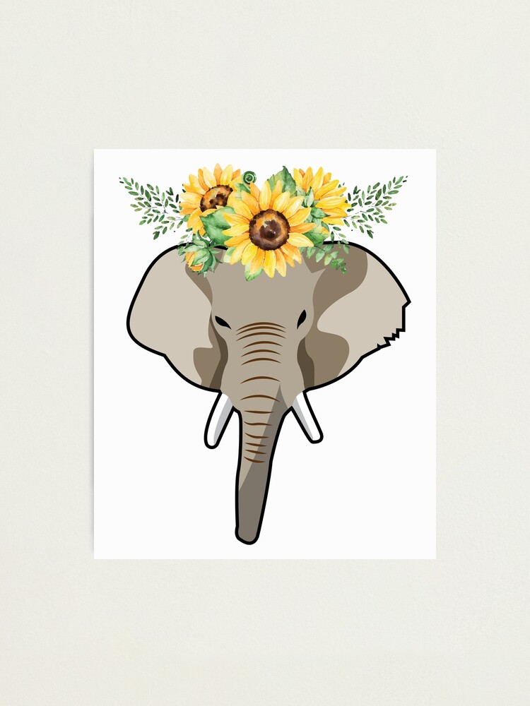 Lámina fotográfica «Elefante con girasoles Salvaje» de monsifkrits |  Redbubble