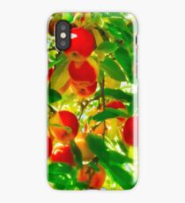 Red Apple Tree iPhone Case/Skin
