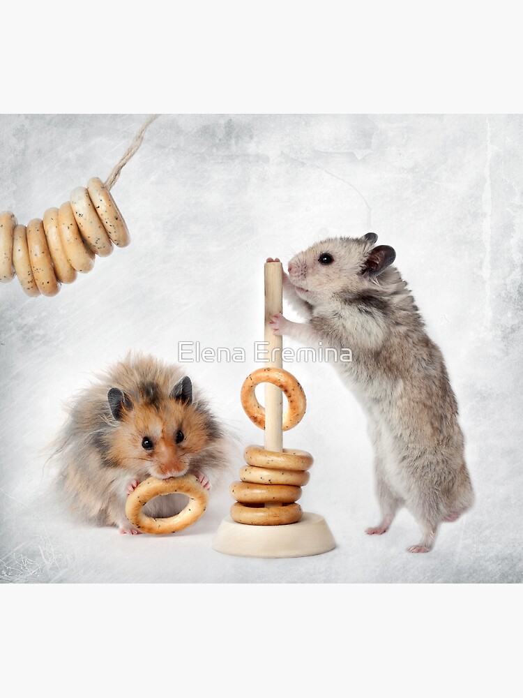 Thumbnail 3 of 3, Poster, hamsters are designed and sold by Eremina-Elena.