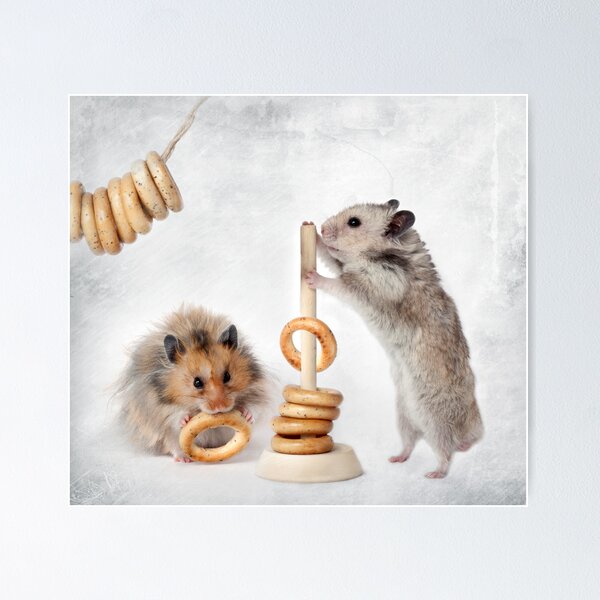 hamsters are Poster