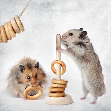Artwork thumbnail, hamsters are by Elena Eremina