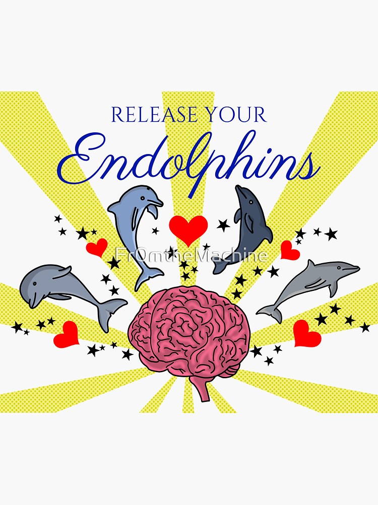 Official All everything dolphin merch endolphins