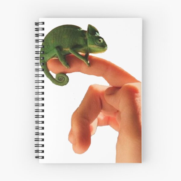 Item preview, cute chameleon boy designed and sold by meghandanielle.