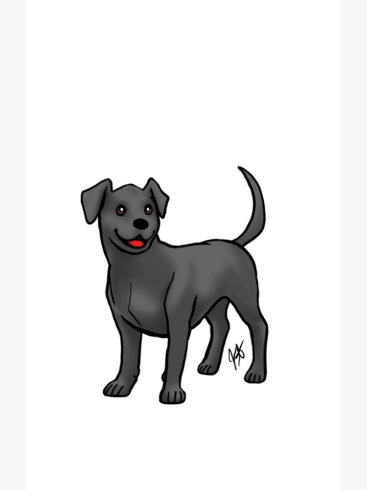 Labrador Retriever - Black by jameson9101322