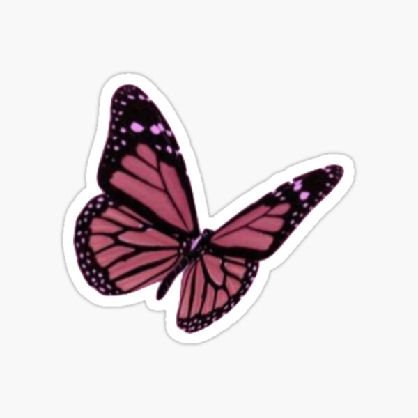 mariposa Pegatina
