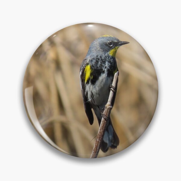 Item preview, Yellow-rumped Warbler  designed and sold by DigitalGen.