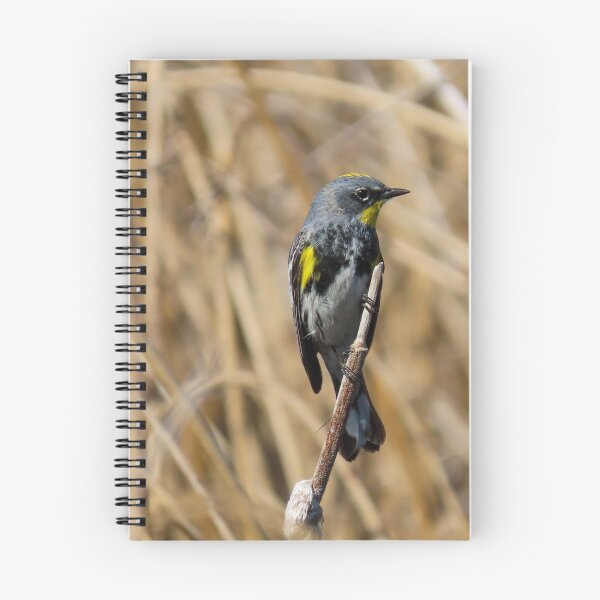 Item preview, Yellow-rumped Warbler  designed and sold by DigitalGen.