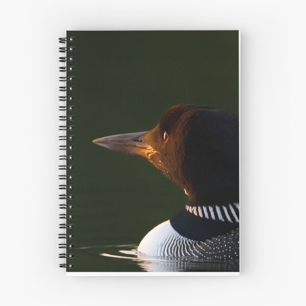 Item preview, Dawn Breaks - Common loon designed and sold by James Cumming.