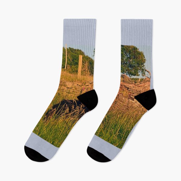 Item preview, No Hiding Place. designed and sold by Michael Haslam.
