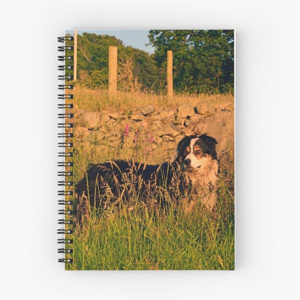 Item preview, No Hiding Place. designed and sold by Michael Haslam.