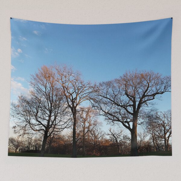 Item preview, Tree silhouettes against an autumn sky designed and sold by rvjames.
