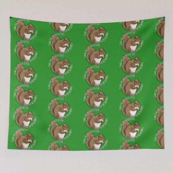 Item preview, Came for the Education, Stayed for the Squirrels designed and sold by abipinn.