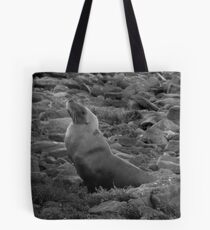 Australian Sealion on the rocks - Fitzgerald Bay, South Australia Tote Bag