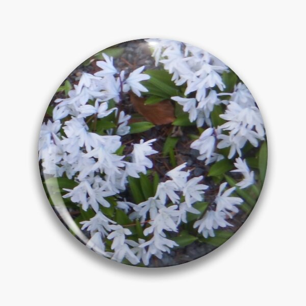 Item preview, White Scilla  designed and sold by SuzyQS.