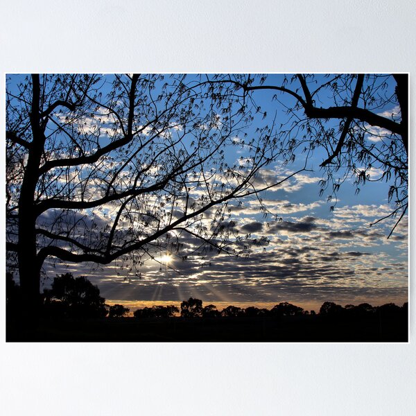 Item preview, Sunlight designed and sold by Mark Cooper Photography.