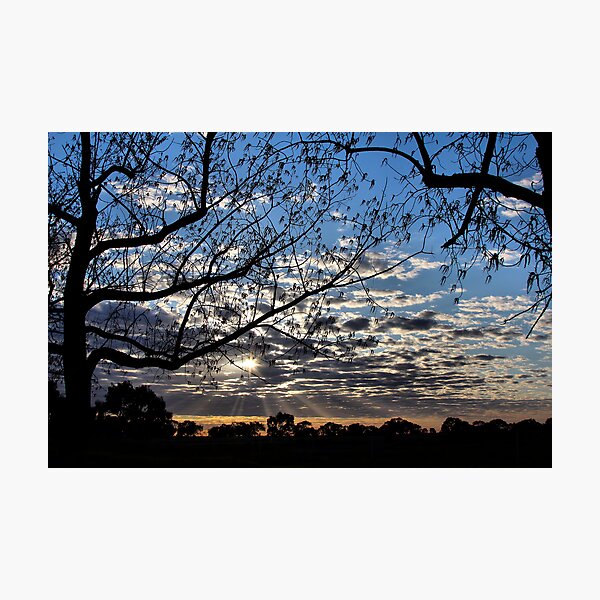 Item preview, Sunlight designed and sold by Mark Cooper Photography.