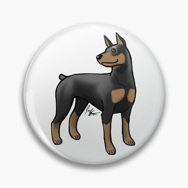 Item preview, Dog - Doberman Pinscher - Black and Tan Cropped designed and sold by Jennifer Stolzer.