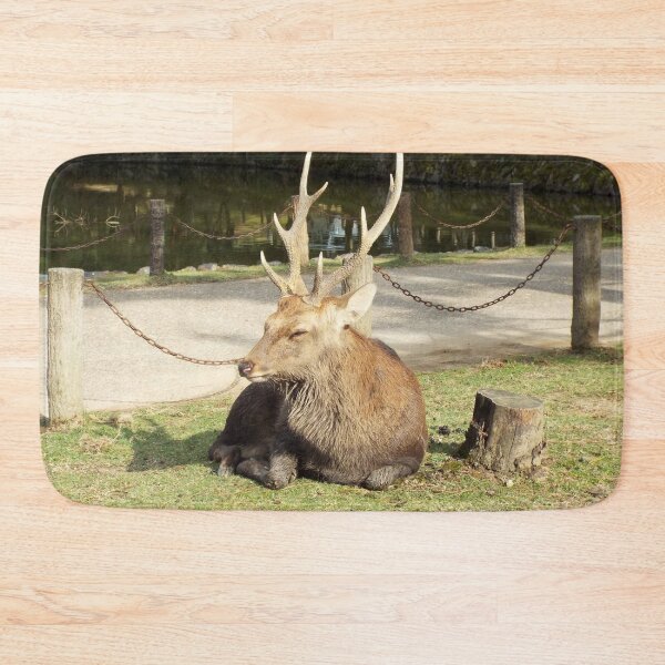 Item preview, Resting Buck designed and sold by Photosinic.