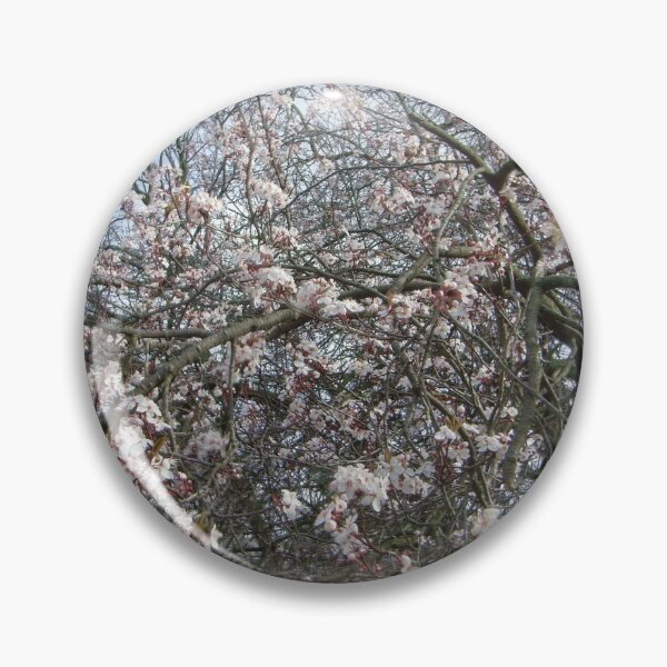Item preview, Hyde Park Cherry Blossoms  designed and sold by SuzyQS.