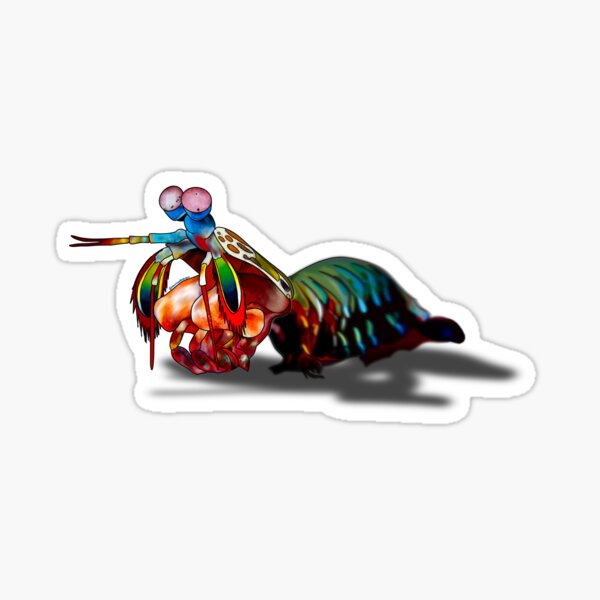 Item preview, Mantis Shrimp designed and sold by mansinoodl3.
