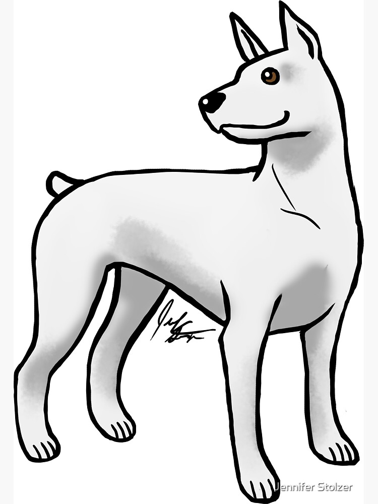 Doberman Pinscher - White by jameson9101322