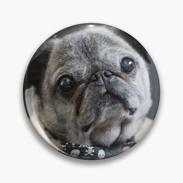 Item preview, Pug Legend-Igor Pugdog designed and sold by IgorandZombie.