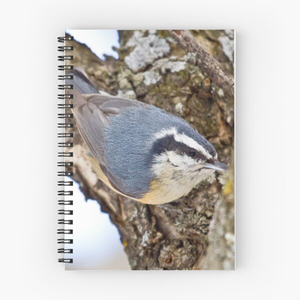 Item preview, Red-breasted Nuthatch designed and sold by Dennis Deitz.
