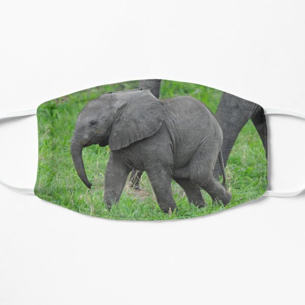 Baby African Elephant Mask