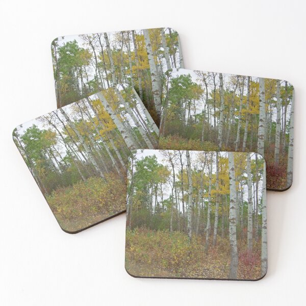Item preview, Birch Trees and Fall Leaves designed and sold by SuzyQS.