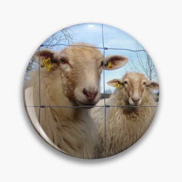 Item preview, Baaaa!  designed and sold by SuzyQS.